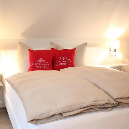 Fuerst Bismarck Muehle 호텔